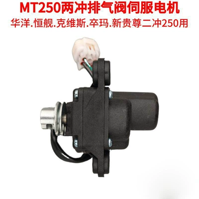 Motorcycle engine and accessories Parts Servo Motor Valve Control