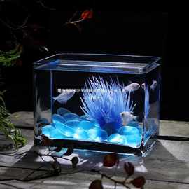 美人鱼鱼缸高白加厚长方形一体玻璃鱼缸小型鱼缸缸斗鱼缸桌面热带