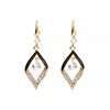 Universal fashionable golden earrings, internet celebrity, fitted