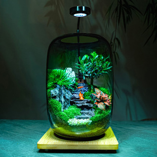 Zuowengtian Desktop Micro-Landscape Glass Ecological Bottle Moss Finished Product Creative Potted Decorative Ornaments Bonsai Plants