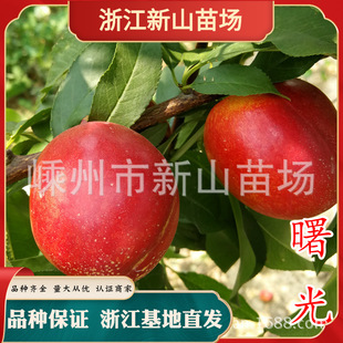 �㽭����S���������S���������S�����Ҙ�޽������闗�������ش�