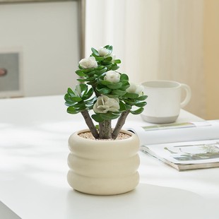 ���Xľ�����Ϙ��辰�ļ����Bֲ�� �����k�����_���ͺ��Gֲ С����