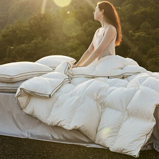 Luxury Mellow Peak Big Wild Goose Duck Down Quilt 95 Velvet Spring and Autumn Quilt Warm Breathable Fit Winter Quilt Core
