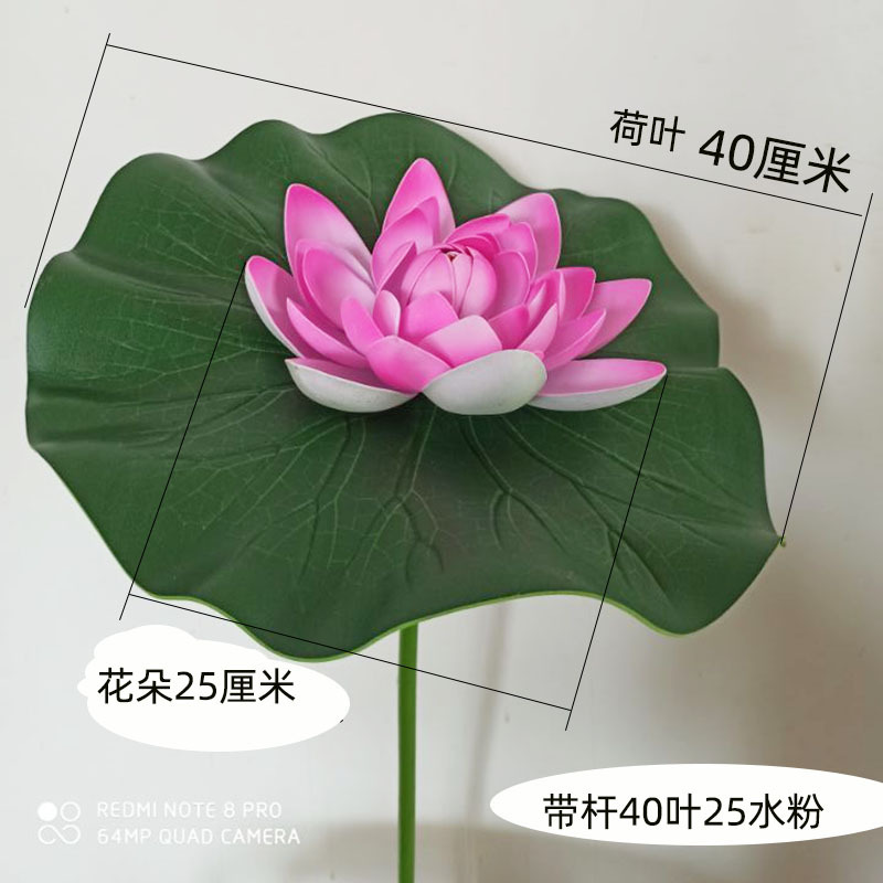 줄기잎 지름 40cm 꽃가루 25cm