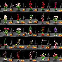 �b�˾��߅���������c�Y�⾳�[�P���滨��