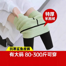 大码鲨鱼裤加绒加厚女外穿秋冬高腰显瘦胖mm200斤紧身打底芭比裤