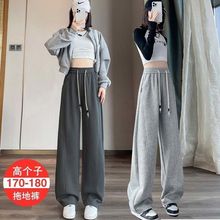 -߂ﶬӽqӺLѝ㽶ѝɾoⴺ