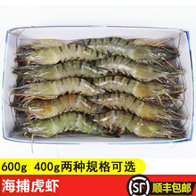 3盒顺丰包邮黑虎虾虾子大虾鲜活冷冻冰新鲜海鲜水产鲜虾海虾