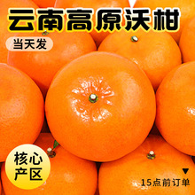 ��ϸ�ɽ�ָ����rˮ����������10�Fժ��ɳ������ɰ�Ǹ��ٽ�������