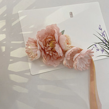 Ůʽܪb߅AɫԿɐۃͯӡӰlA