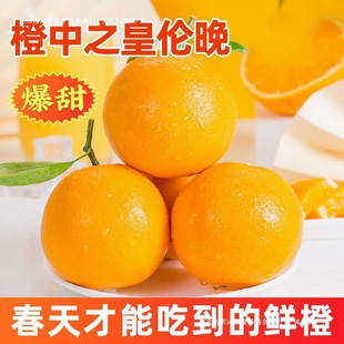 �����]���w��������Ě�Ȯ������rˮ���ք�����ӬFժ�r������Ě��