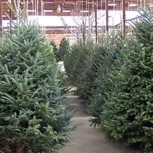 һ�����l�������l���Ų���ɼ�}�Q��1��1.5��2�׸��NҎ��ͥԺ�b