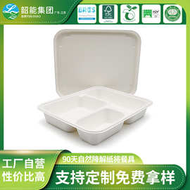 白色长方形外卖快餐一次性甘蔗浆餐盒带盖可降解加厚分隔餐盒
