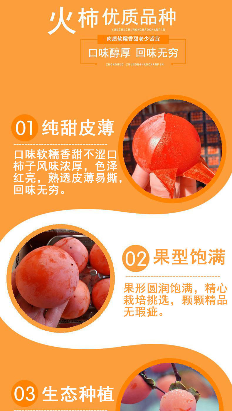 6f36889b-5b34-4763-bc91-de9663c8f6fc.jpe