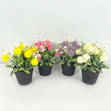 ֲG~Сԕ[辰Ҿ҃bĔz÷ٻ