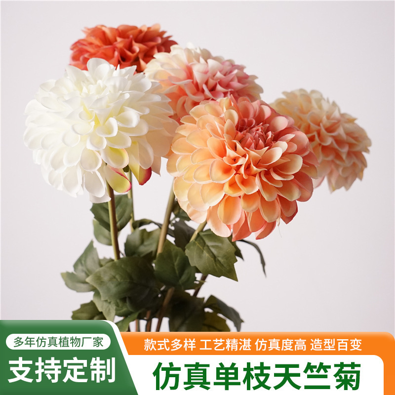 High-Quality Double-Petaled Single-Headed Dahlia, Artificial Autumn-Colored Cosmos Flower, Home Decor, Wedding Artificial Flower High-Quality Double-Petaled Single-Headed Dahlia, Artificial Autumn-Colored Cosmos Flower, Home Decor, Wedding Artificial Flower