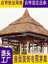 ����é����������쵾�����ϼ�ë�ݵ�̺ʽ�ٲ�Ƥ�͹�é����é�S��