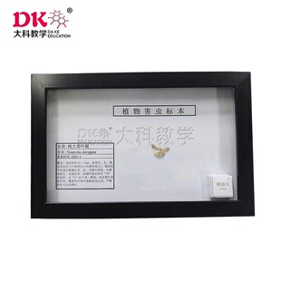 �޴���~���S����ع���Ϟ�s���{ҹ�����ľ�\�߶�߽��r�ֽ̌W