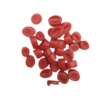 �����͉������w��  ���ϭh�lͰ����������w��  �бP����