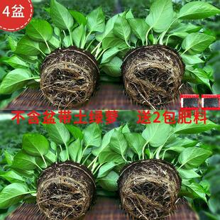 莧G}Դ~oG}ȩ҃ȻܾGֲˮ