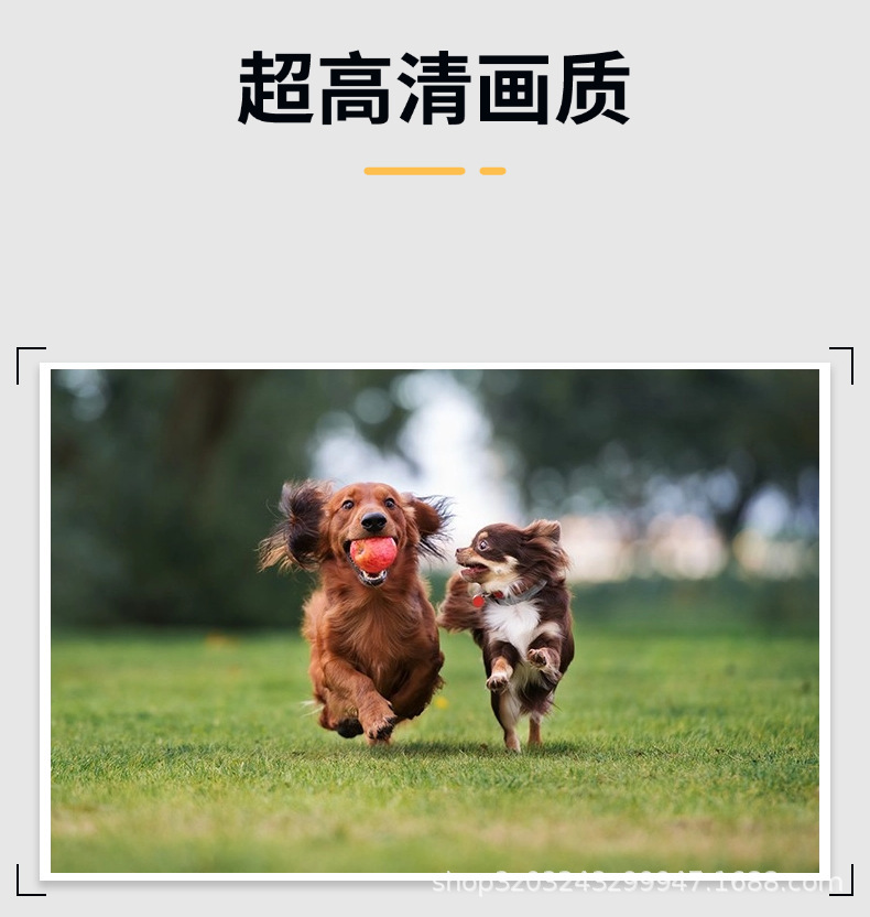 O1CN01AS21zy1QYYQN4r8XO_!!2219130341988-0-cib.jpg?__r__=1743477341318