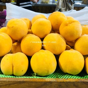 �Fժ���r�S��ë��10������r���ЋDˮ������ë��ܛ����������5