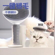 ���������坍؈�䰴Ħȥ��ëһ�I��ë���P���_�Y��ë؈ë������