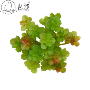 ��؈�������ֲ��11cm���~�������z���k�����b�С���Ի��������w