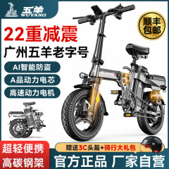 Wuyang 折りたたみ電気自動車電動自転車新国家標準リチウム電池超軽量ポータブル小型電動自転車