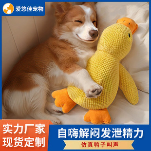 ����ë�q�����˯����ҧĥ�����˽␞С���������Ȯ����l���