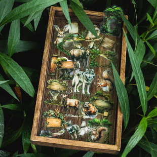 ɭ��֮��ϵ�� ɭ�ք������}�֎�DIY�b��N����ͯ���~�����N��25��