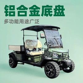 电动观光车;高尔夫球车;其他电动车