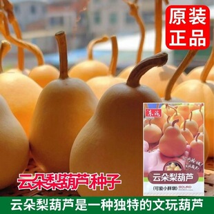 녶�����J�N�����κ��J�N��