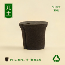 &pi;������̿�����m������A�綨ֲ�o��ˮ��NֲǤ��������|�I�B�K