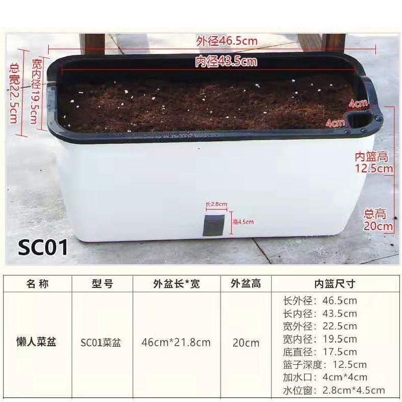 White rectangular basin SCO1