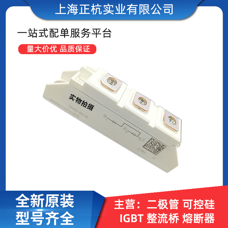 SKKD100/16    SKKD100/16S 半控可控硅模块 全新原装 功率模块