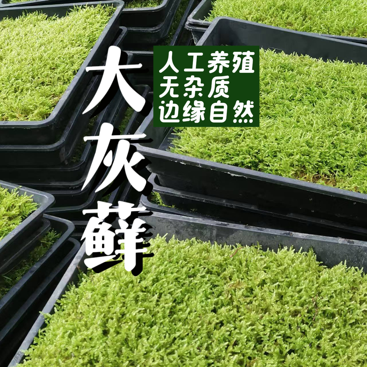 微信图片_20250729163524