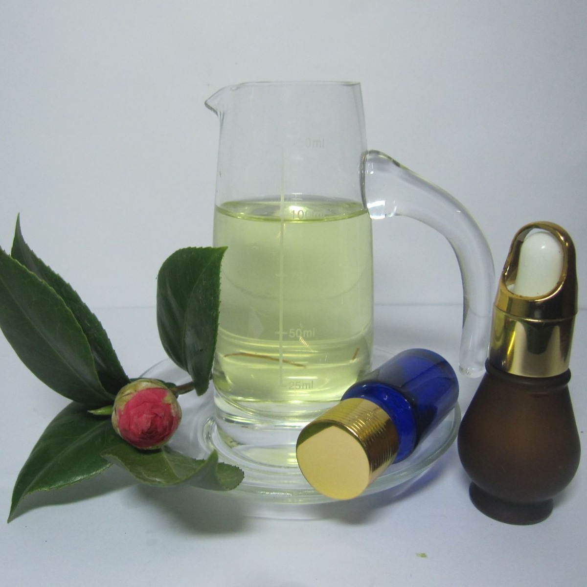 ��������  ֲ��������  ������� ��ӭѡ��