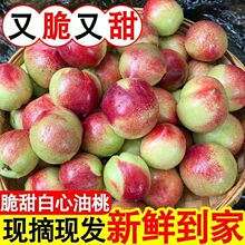 ���r�������ҬFժ�����������ӑ���ˮ��������l������ϱ�Ƥ�r��