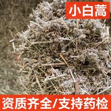小白蒿 中药材 小白蒿 白蒿 冷背小白蒿 支持药检 代磨粉