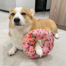 ������߰l���_푼�ë�q�����Ȯ��ë�ɐ����Ӗ���»�ĥ����Ʒ