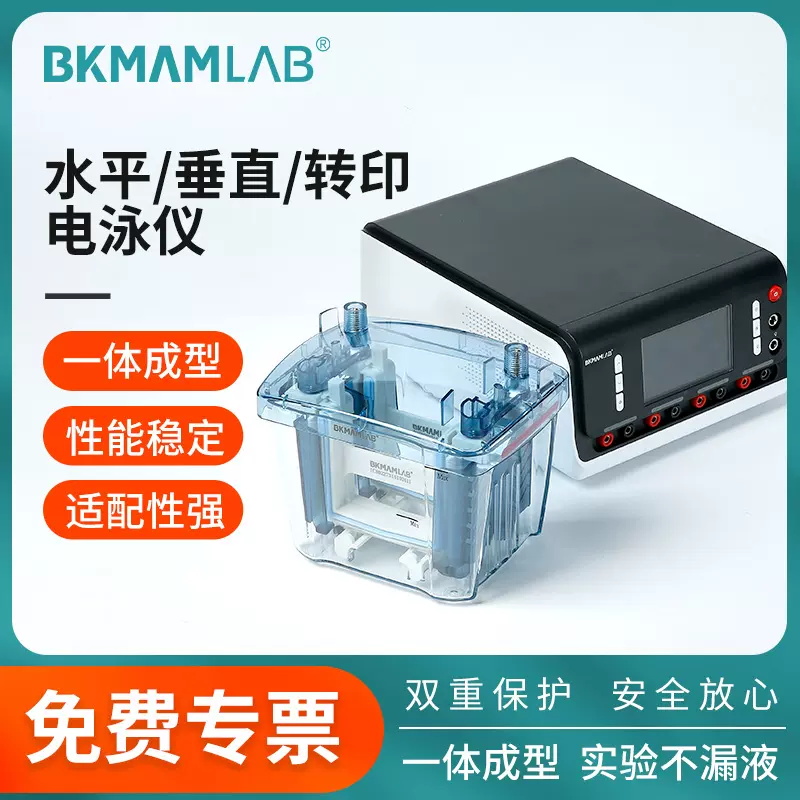 比克曼生物水平垂直电泳仪凝胶wb转印槽蓝光电源核酸蛋白检测