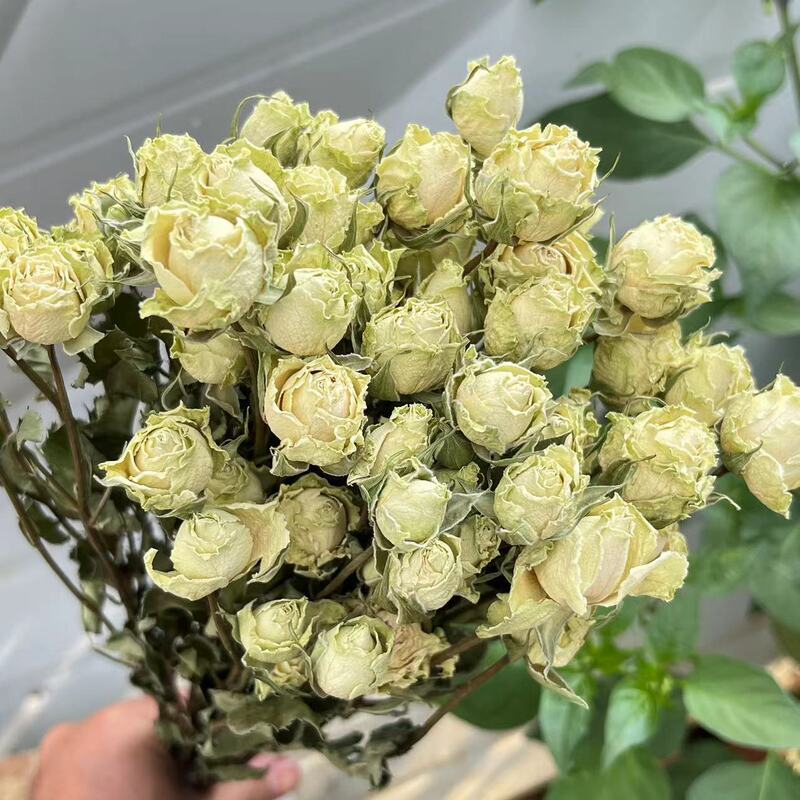 多頭バラ泡薔薇乾花薔薇花束雲南乾花滴糊花フォトフレーム花材補助材飾り|undefined