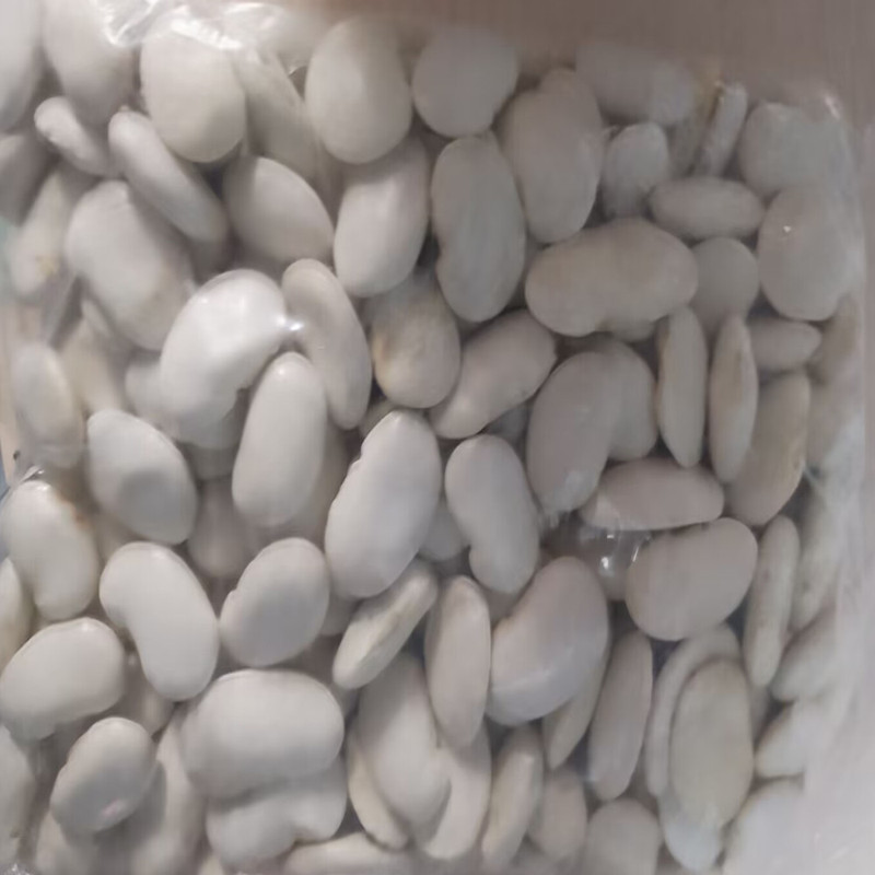 新鮮な白芸豆白腰豆250-500グラムの産地は季節の新商品の粒を供給して雑穀を配合します。|undefined