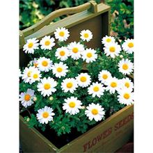 ׾շNͥԺļһ_ĻСrհ׾ջN