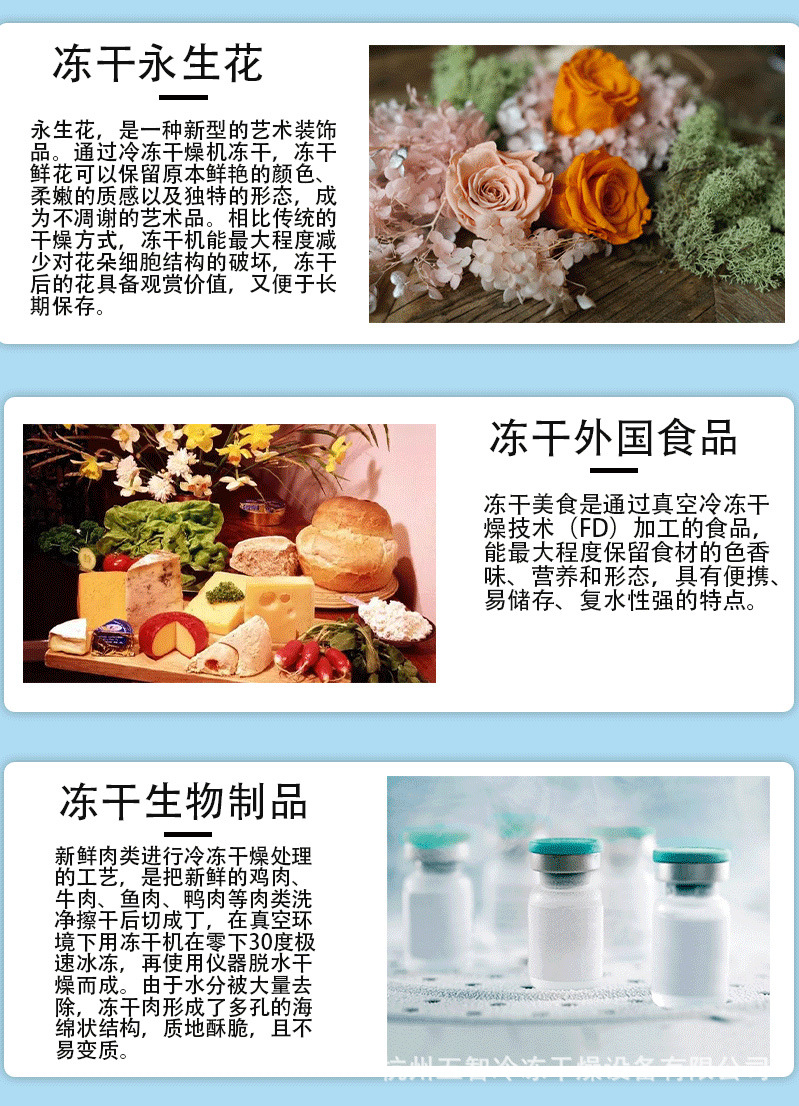 最终hl-2 (5).jpg