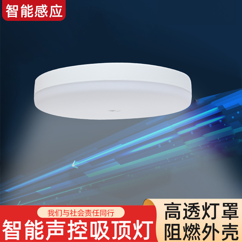 Factory wholesale corridor basement ceiling sound and light control induction human body infrared induction ceiling lamp LED induction lamp