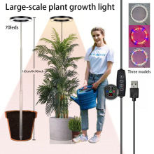 �羳����LED��ʹ�hֲ���6Ӣ��ȫ���V�҃ȾGֲ��������ֲ���a���