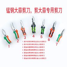 �����⌣�ü��� ������������[���^������o���^�����