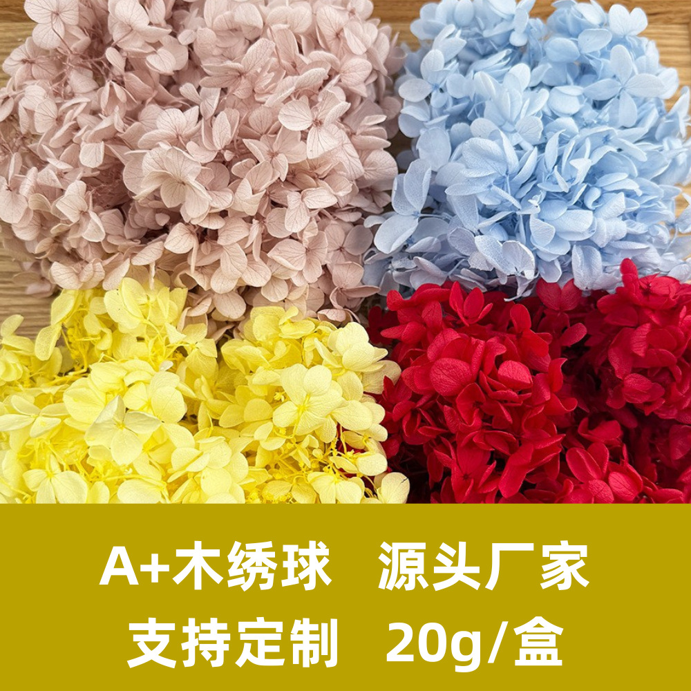 Flores de hortensia preservadas de calidad A+ del fabricante de Yunnan, flores preservadas en caja de 20g.